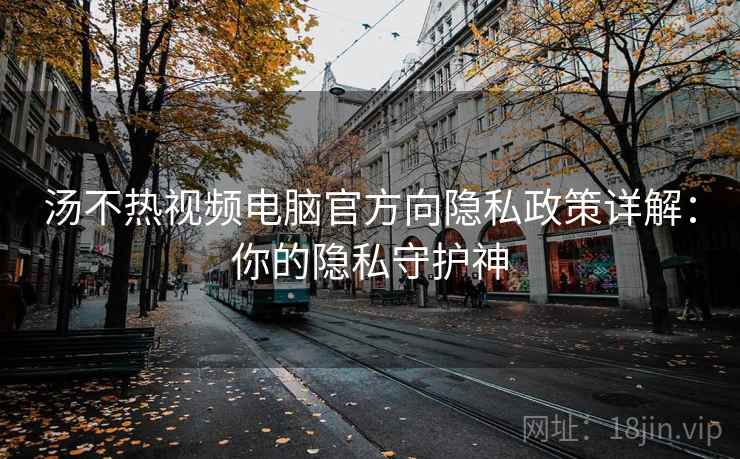 汤不热视频电脑官方向隐私政策详解：你的隐私守护神