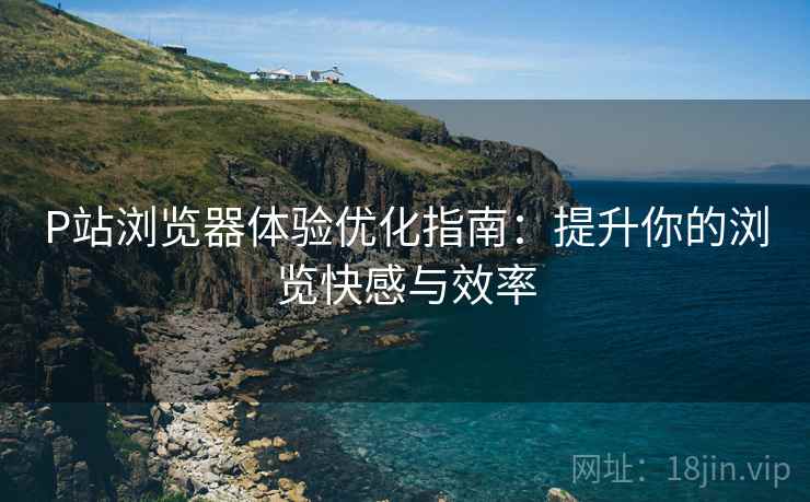 P站浏览器体验优化指南：提升你的浏览快感与效率