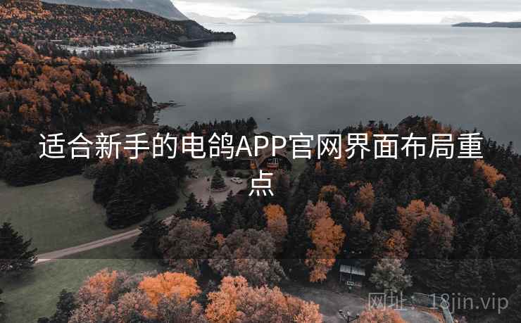 适合新手的电鸽APP官网界面布局重点 适合新手的电鸽APP官网界面布局重点
