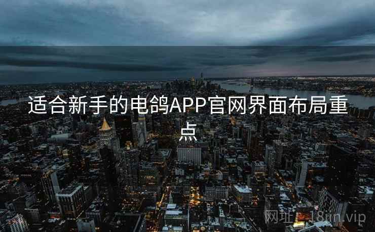 适合新手的电鸽APP官网界面布局重点