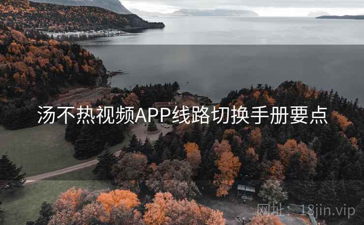 汤不热视频APP线路切换手册要点