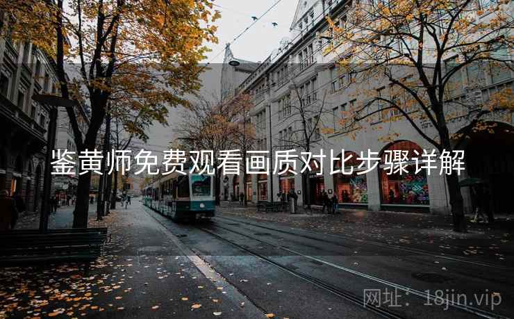 鉴黄师免费观看画质对比步骤详解