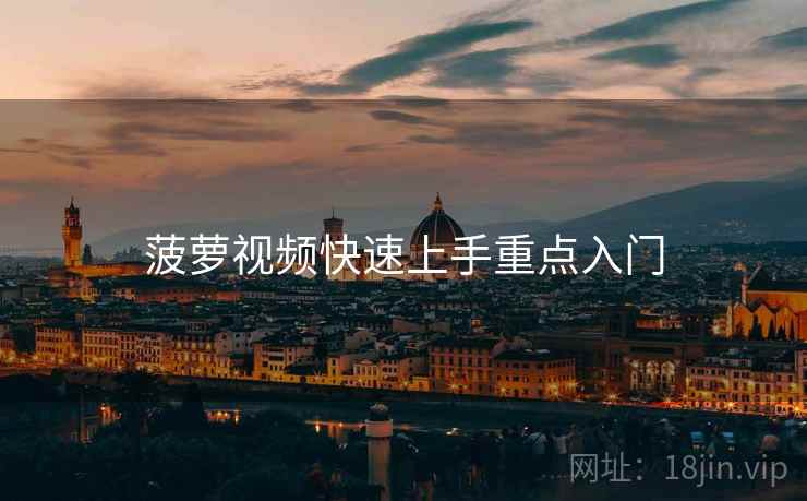 菠萝视频快速上手重点入门