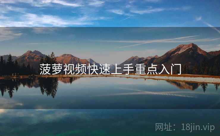 菠萝视频快速上手重点入门