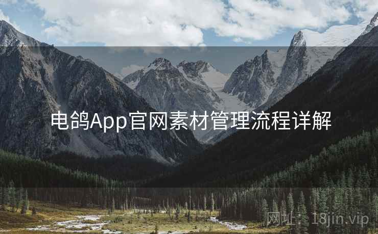 电鸽App官网素材管理流程详解