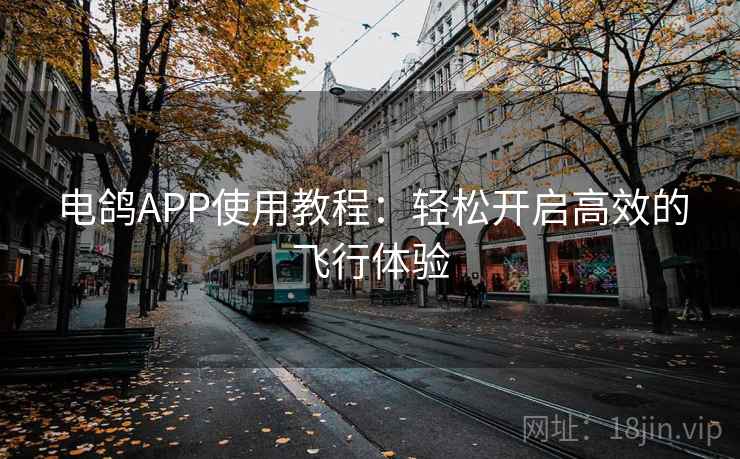 电鸽APP使用教程：轻松开启高效的飞行体验